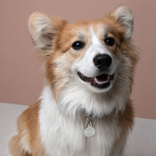 Load image into Gallery viewer, ROXX Engraved Key Chain/Pet ID Tag