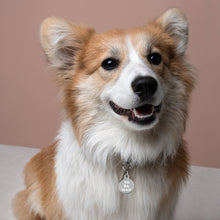 Load image into Gallery viewer, YO DA MAN Engraved Key Chain/Pet ID Tag