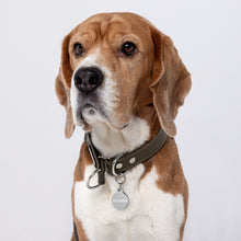 Load image into Gallery viewer, Picasso Engraved Key Chain/Pet ID Tag