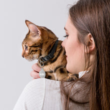 Load image into Gallery viewer, Abe Engraved Key Chain/Pet ID Tag