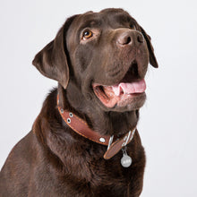 Load image into Gallery viewer, Abe Engraved Key Chain/Pet ID Tag